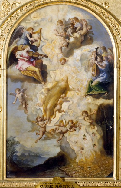 The Assumption of St. Mary Magdalene by Valerio Marucelli